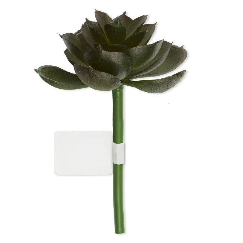 Artificial Succulent Pick Dark - đánh giá và giá Echeveria Succulent