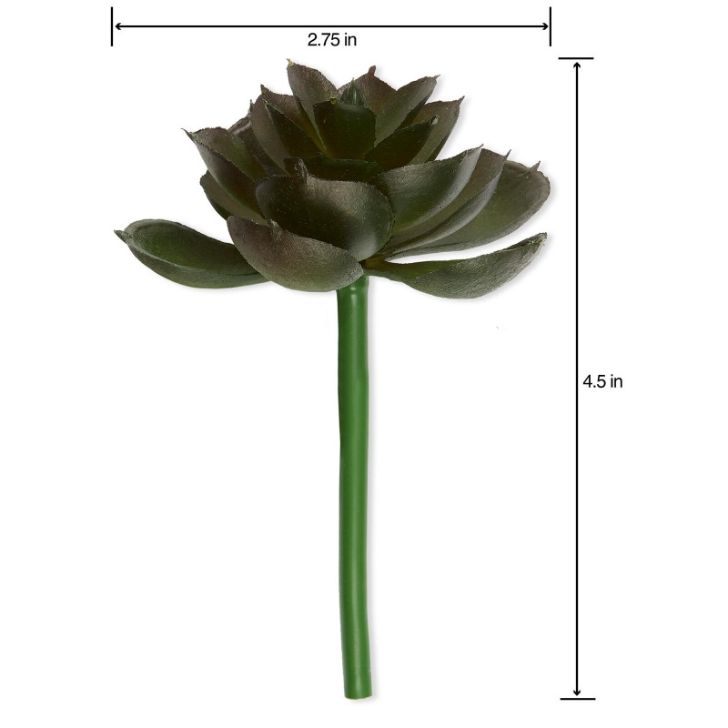 Artificial Succulent Pick Dark - đánh giá và giá Echeveria Succulent