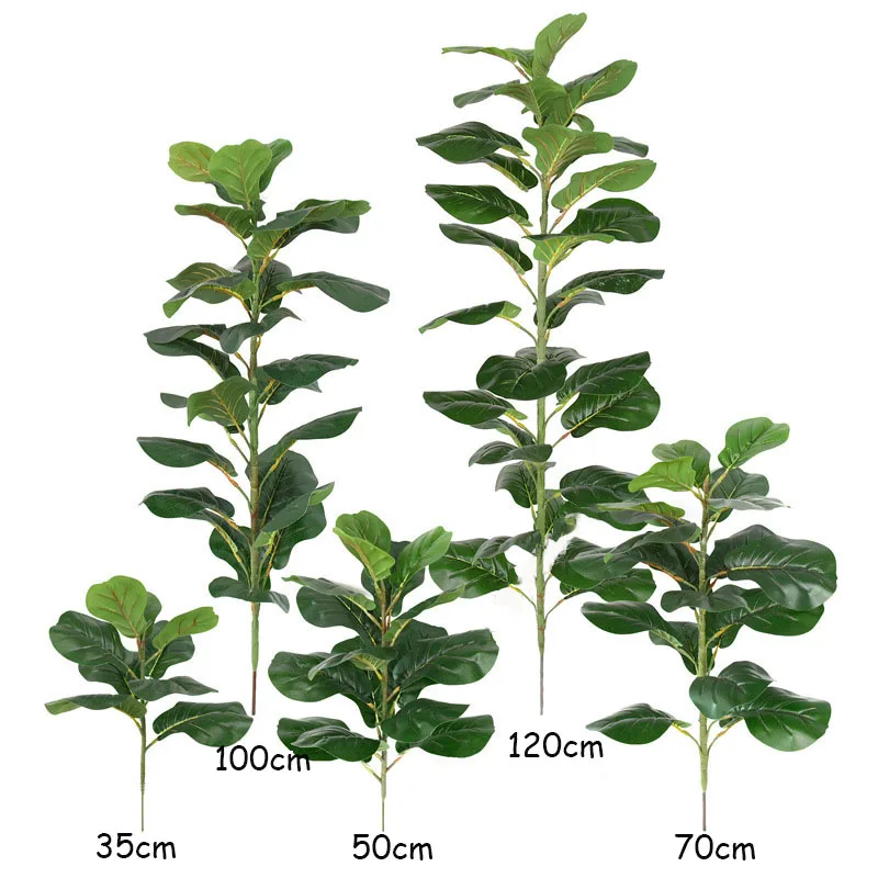 35-150cm Tropical Tree Large F - đánh giá và giá Ficus Lyrata Tree