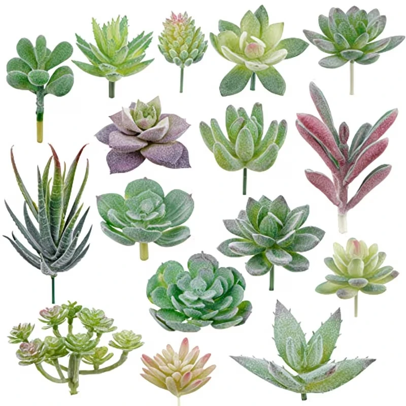 10/20Pcs PVC Succulents Plants - đánh giá và giá Echeveria Succulent