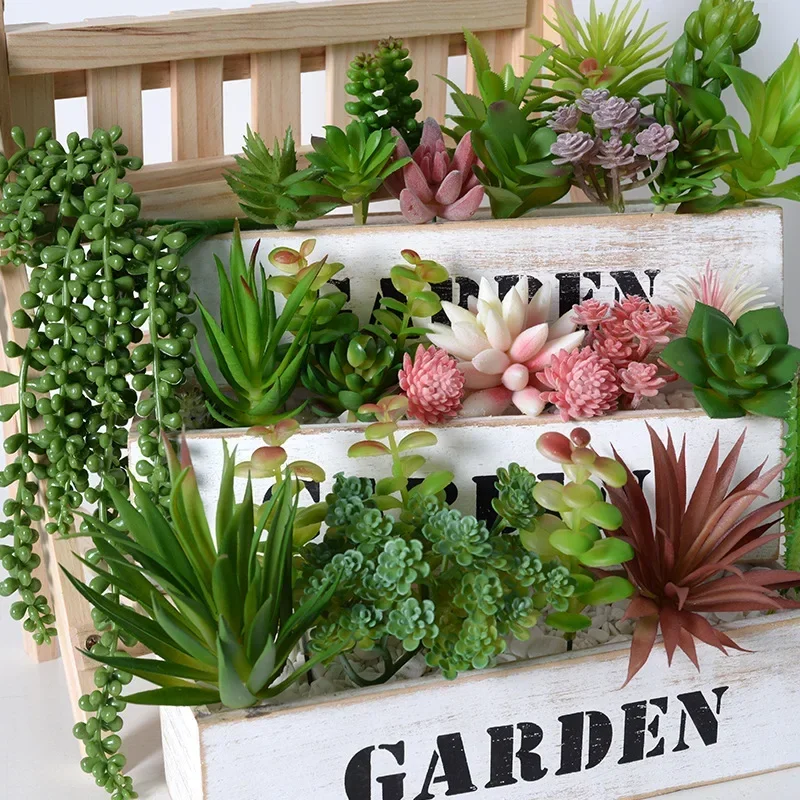 10/20Pcs PVC Succulents Plants - đánh giá và giá Echeveria Succulent