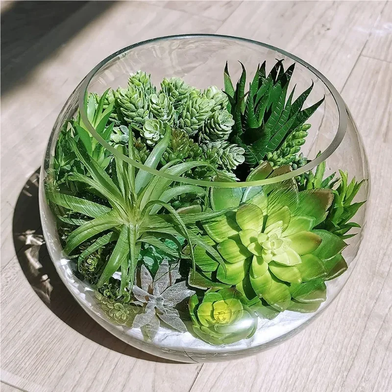 10/20Pcs PVC Succulents Plants - đánh giá và giá Echeveria Succulent